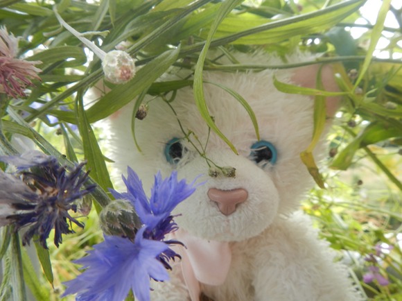 DSCN0608
