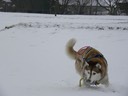 ... und tief beim Spiel mit dem Ball darin versinkt.