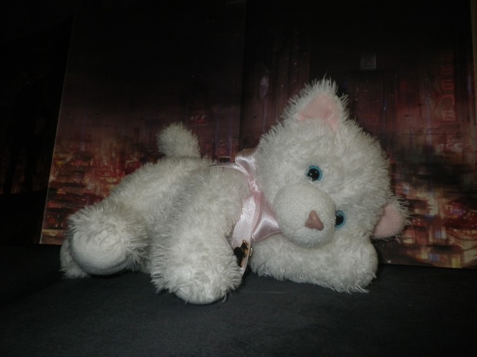 IMGP0379