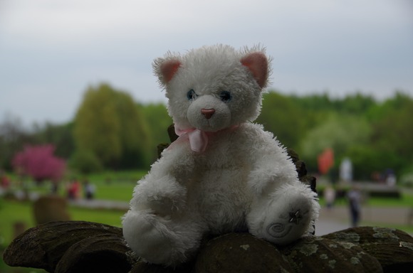 IMGP0527