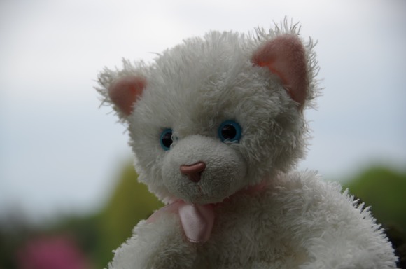 IMGP0530