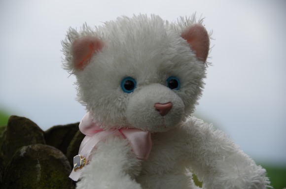 IMGP0531