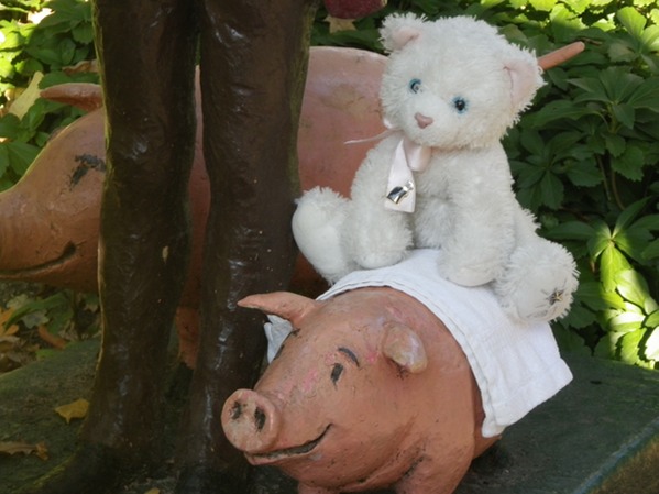 IMGP0666