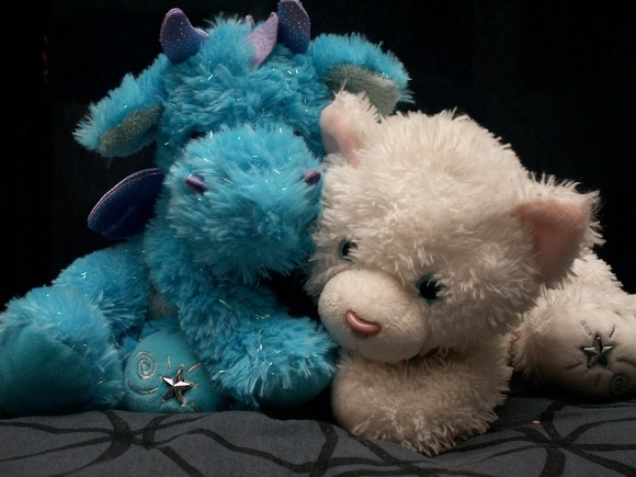 PICT0027