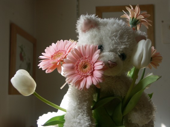PICT0806